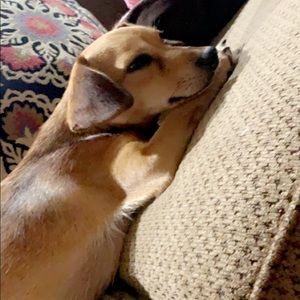 Meet your Posher, Kylie